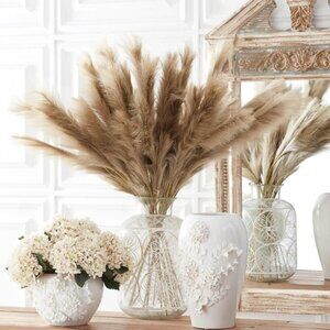 Set/3 Natural Pampas Grass Stems